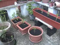BILD3950.webp