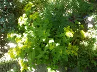 P1440008.webp