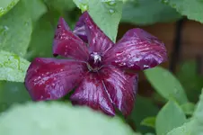 _DSC8461.webp