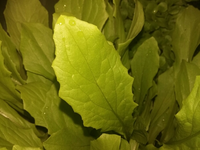 20150618-212331.webp