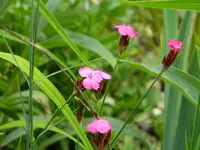 DSCN9151.webp