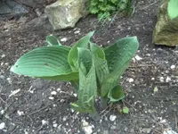 BILD3940.webp