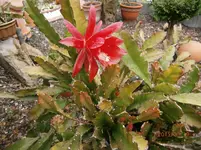 P6190380.webp