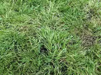IMG_3319.jpg