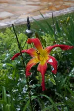 IMG_9832.jpg