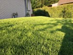 IMG_3273.jpg