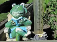 Froschkonzert v (1).webp