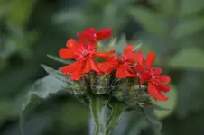 _DSC8476.webp
