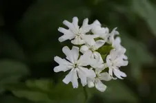 _DSC8477.webp