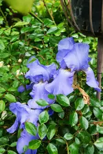 DSC_4757.webp