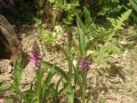 P6100006_(1024_x_768).webp