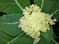 20150620_150023.webp