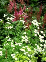 IMG_5359.webp