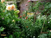 IMG_5364.webp