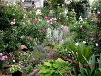 IMG_5375-002.webp