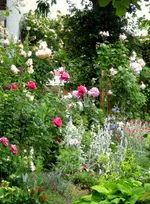 IMG_5378-001.webp