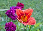 IMG_9837.jpg