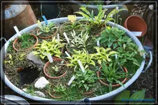 comp_DSC03812.webp