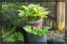 comp_DSC03813.webp