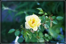 comp_DSC03814.webp