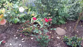 20150620_180939.webp