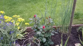 20150620_180910.jpg
