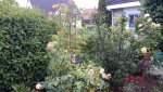 20150620_180928.jpg
