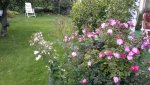 20150620_181003.jpg