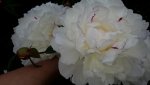 20150620_181040.jpg