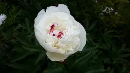 20150620_181135.jpg