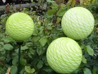 Bilda046.webp