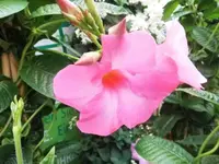 Bilda028.webp