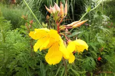DSCF1581 (2).webp