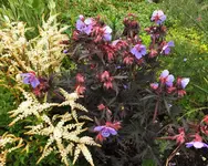 DSCF1571 (3).webp