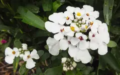 DSCF1575 (2).webp
