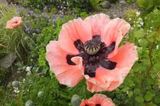 DSCF1578.webp