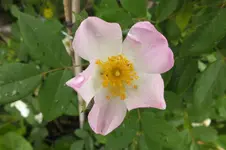 DSCF1582.webp