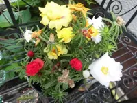 Bilda040.webp
