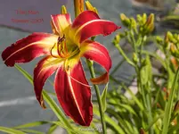 IMG_9845.webp