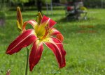 IMG_9854.jpg