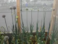 DSCN2608.webp