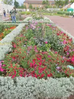 DSCN2607.webp