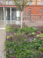 DSCN2647.webp