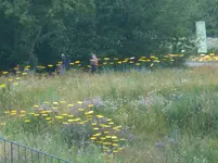 DSCN2639.webp