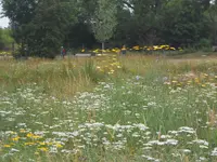 DSCN2634.webp