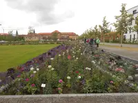DSCN2629.webp