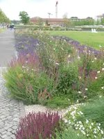 DSCN2626.webp