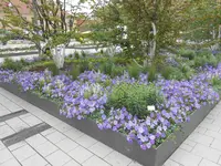 DSCN2621.webp