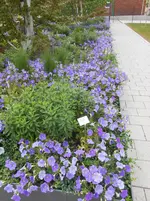 DSCN2620.webp