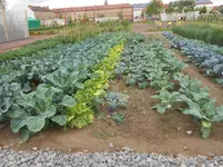 DSCN2611.webp